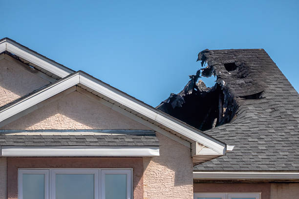 Top rated local Odor Removal specialists in Middletown, KY